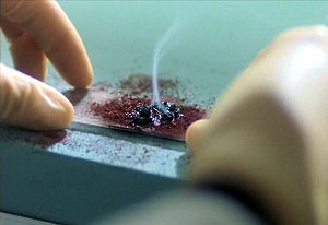 What's left of Mr Wainwright's sperm after a sample has been exposed to sunlight